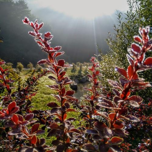 Photo #5474890