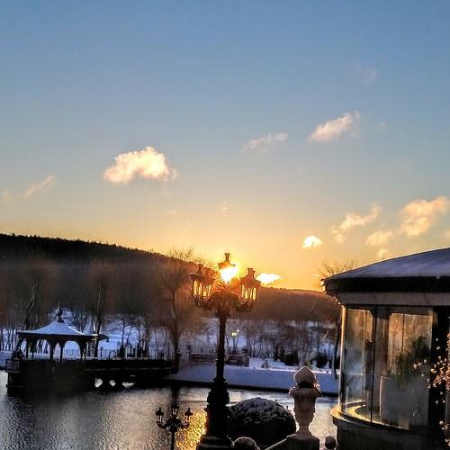 Photo #5474902