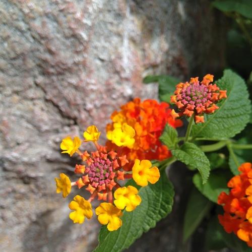 Photo #5474904