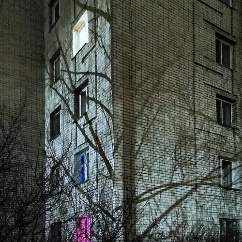 Photo #5475285