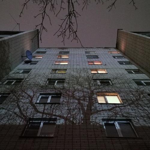 Photo #5475286