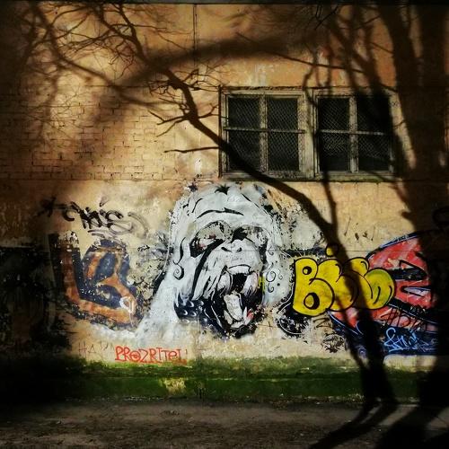 Photo #5475287