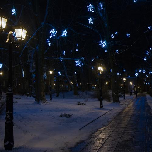 Photo #5475325