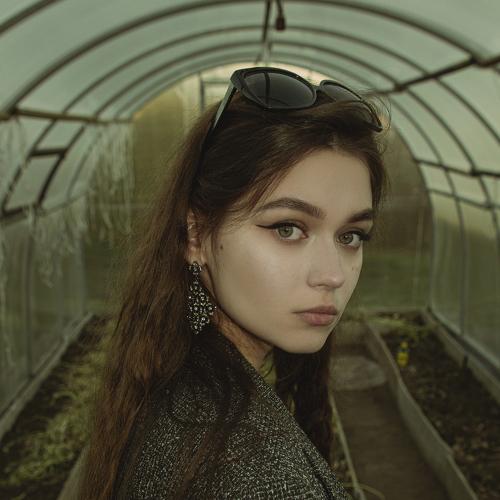 Photo #5475531