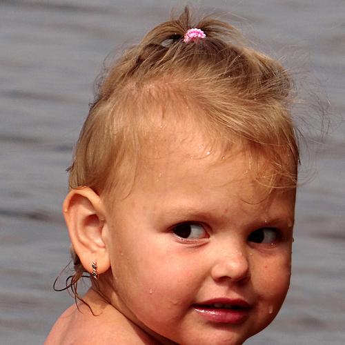 Photo #5475715