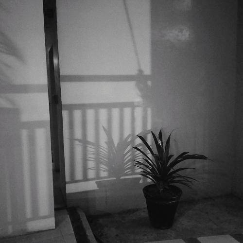 Photo #5475756