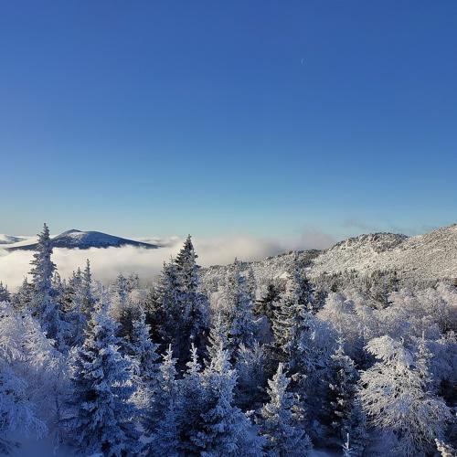 Photo #5475772