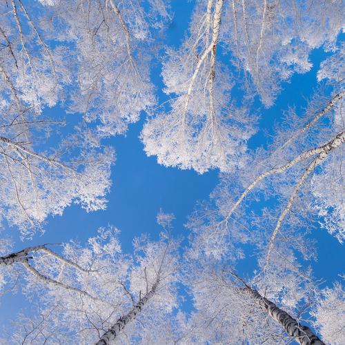 Photo #5476255