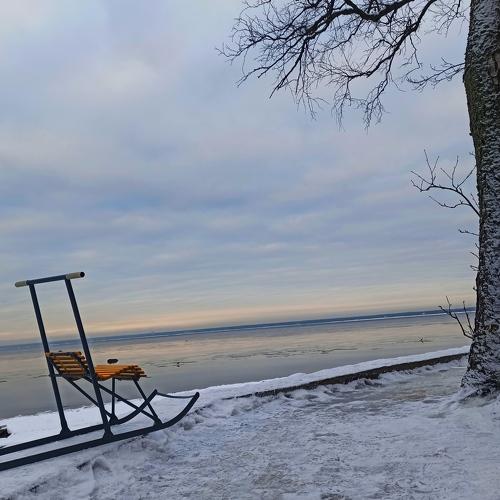 Photo #5476298