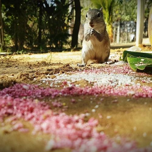 Photo #5476411
