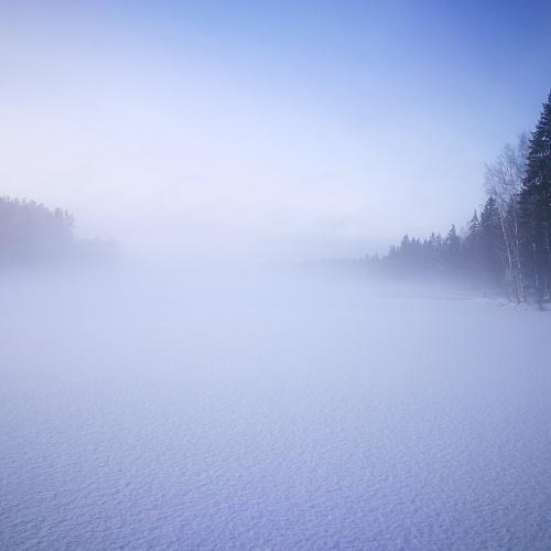 Photo #5477194