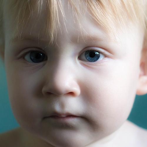 Photo #5477488