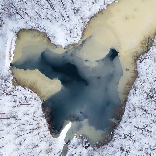 Frozen Heart