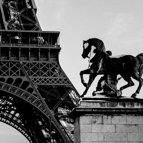 Photo #5477654