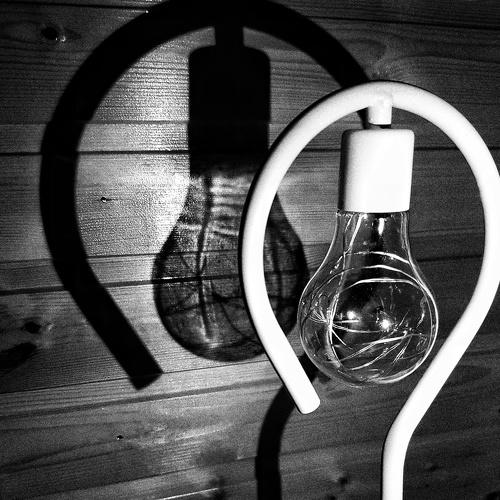 Photo #5477855