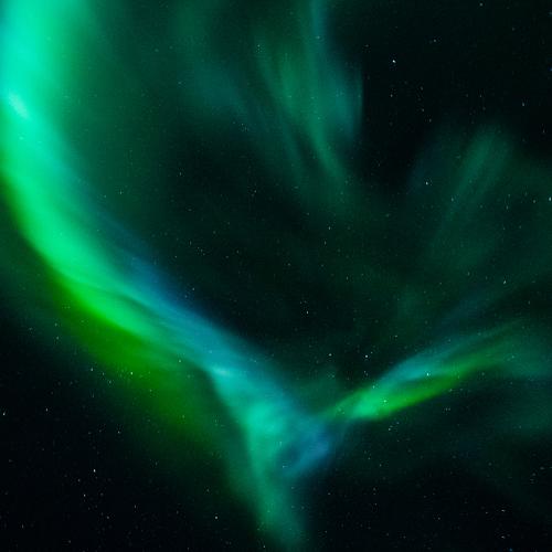 Photo #5478191