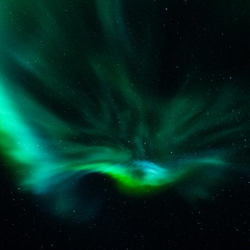 Photo #5478193