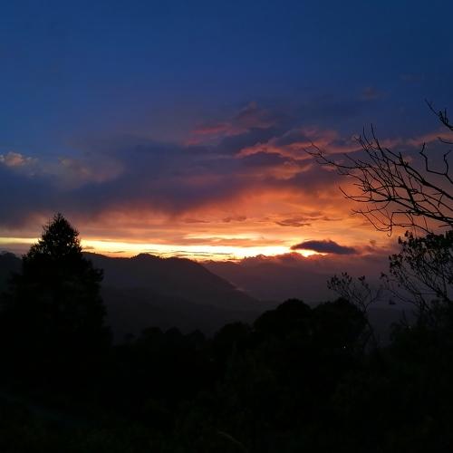Photo #5478497
