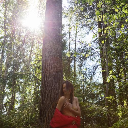 Photo #5478525
