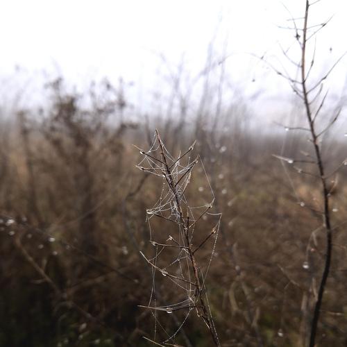 Photo #5478682