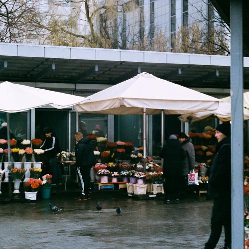 Photo #5479519