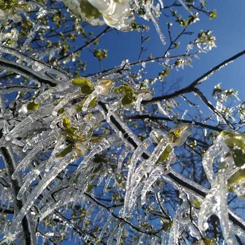 Photo #5479643