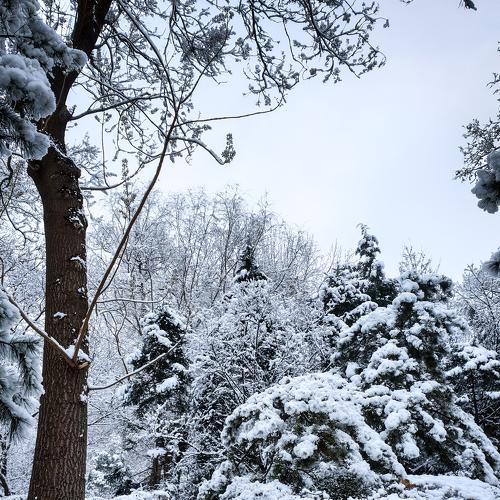 Photo #5480094