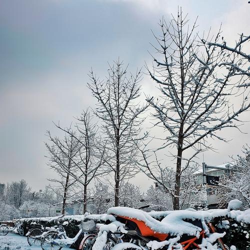 Photo #5480110