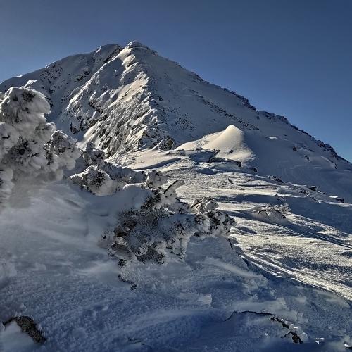 Photo #5480801
