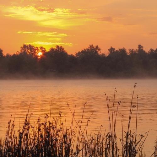 Photo #5481042