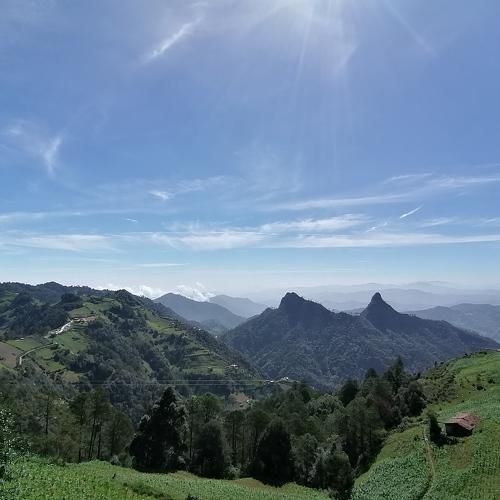 Photo #5481100