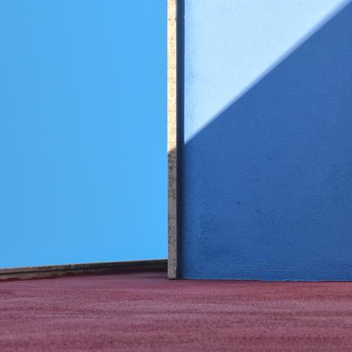 Photo #5481870