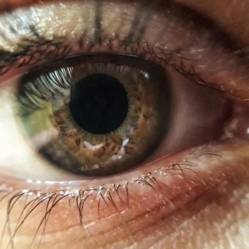 Photo #5482324
