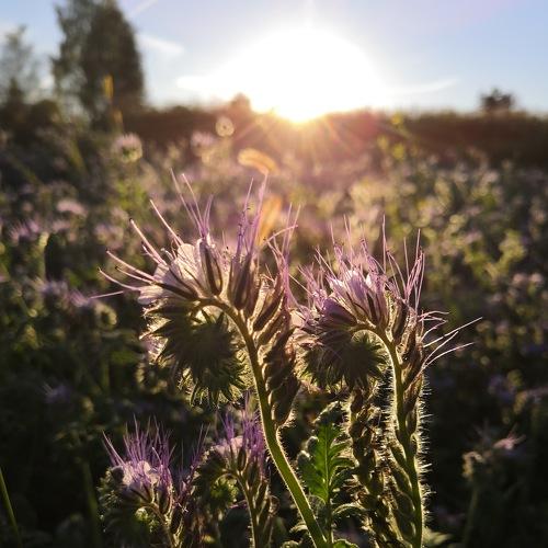 Photo #5482532