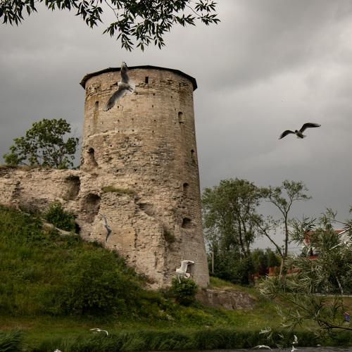 Photo #5482540