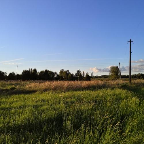 Photo #5482557