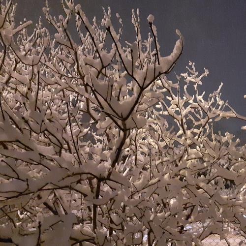 Photo #5483515