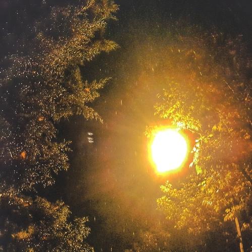 Photo #5483675