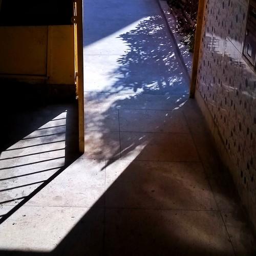 Photo #5483916