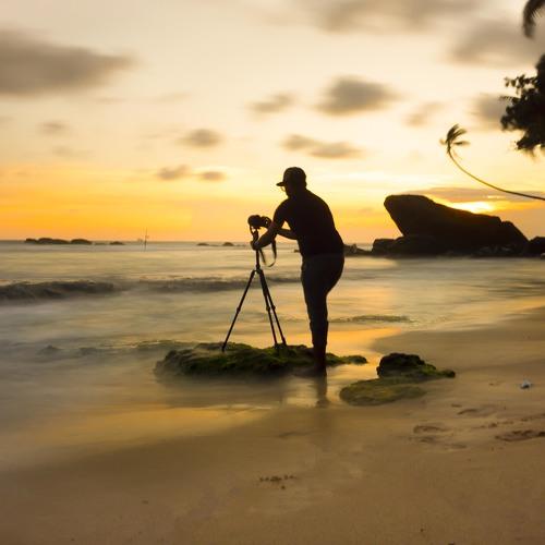 Photo #5483917