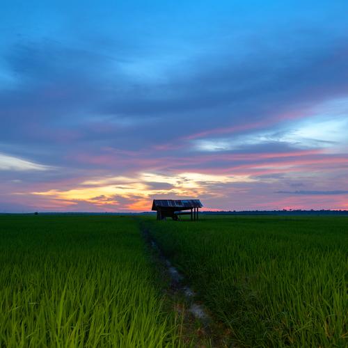 Landscape - night (evening)