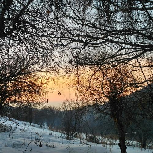 Photo #5484197