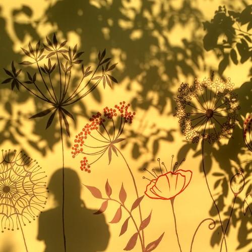 Photo #5484240