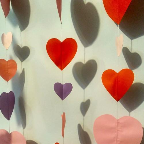 Photo #5484242
