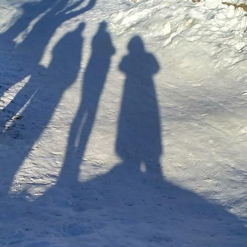 Photo #5484247