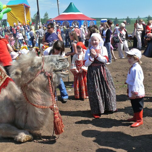 Photo #5484312