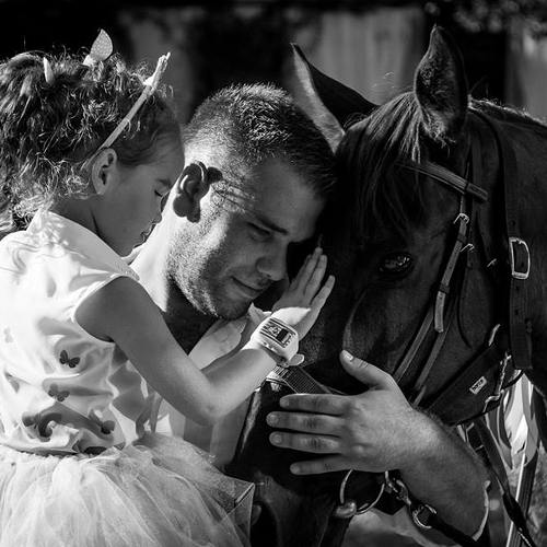 Photo #5484681