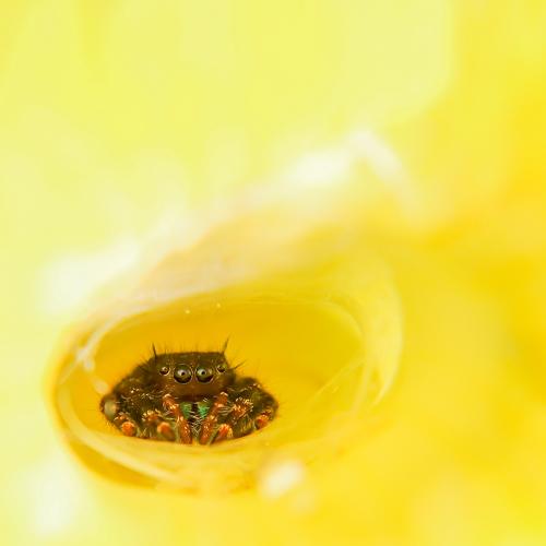 Photo #5486702