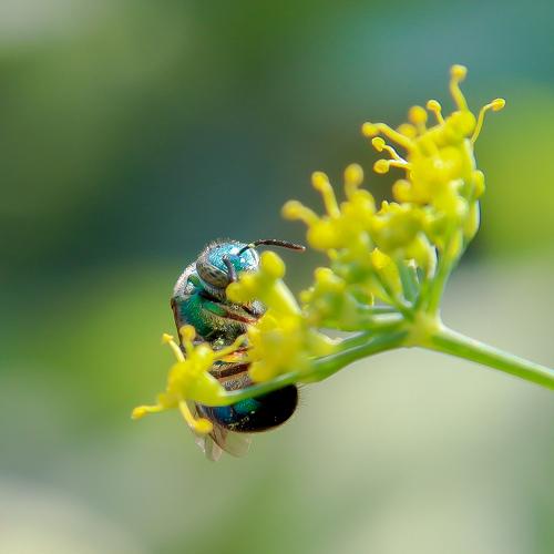 Photo #5486977