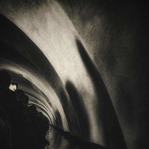Photo #5487414